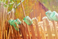 /album/photo-gallery-on-campus/mason-jars-jpg/